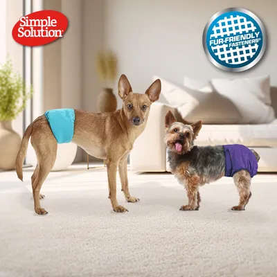 Pannolini lavabili Simple Solution per cani femmina