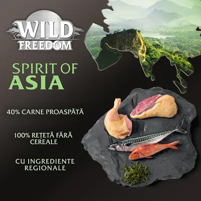 Wild Freedom Spirit of Asia, 40% carne proaspătă, 100% rețetă fără cereale, cu ingrediente regionale. Imagine cu carne de pasăre, pește și verdeață pe o placă de piatră.