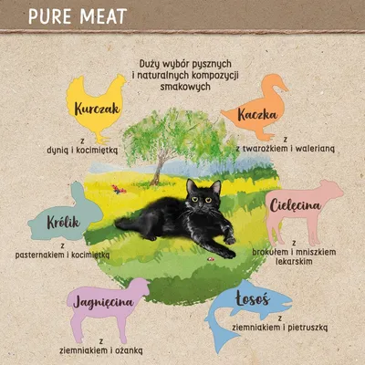 PURE MEAT. Duży wybór kompozycji smakowych: kurczak z dynią i kocimiętką, kaczka z twarożkiem i walerianą, królik z pasternakiem i kocimiętką, cielęcina z brokułem i mniszkiem, jagnięcina z ziemniakiem i ożanką, łosoś z ziemniakiem i pietruszką.