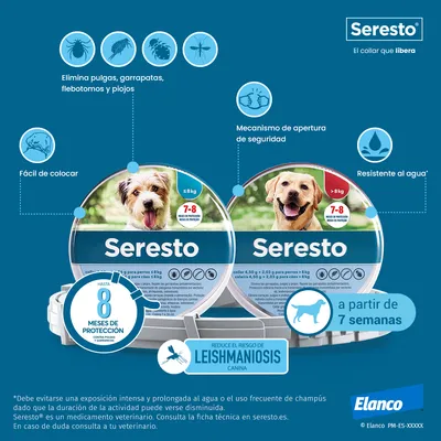 Collares Seresto para perros, elimina pulgas, garrapatas, flebotomos y piojos. Hasta 8 meses de protección. Resistente al agua, fácil de colocar, mecanismo de seguridad. Elanco.