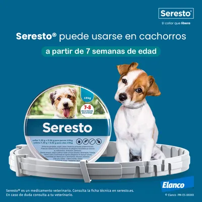 Seresto puede usarse en cachorros a partir de 7 semanas de edad. Envase Seresto para perros ≤8 kg, 7-8 meses de protección. Marca Elanco visible.