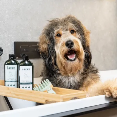 Kooa dog shampoo in two bottles, presented on a bamboo tray with a green grooming comb.