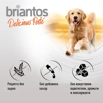 briantos Delicious Paté. Рецепта без зърно, без добавена захар, без изкуствени оцветители, аромати и консерванти.