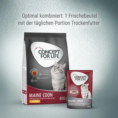 CONCEPT FOR LIFE Maine Coon, suha hrana 400 g in mokra hrana 85 g za odrasle mačke. Besedilo v nemščini: Optimal kombiniert: 1 Frischebeutel mit der täglichen Portion Trockenfutter.