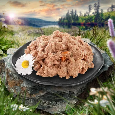 Plate of wet pet food with visible chunks, served on a black dish outdoors on a rock, with a white daisy flower beside the food. No brand or packaging shown.