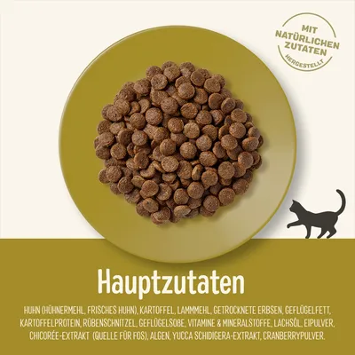 Сухой корм для кошек на тарелке. Видны основные ингредиенты: курица, картофель, ягнятина, горох, жир птицы, витамины и минералы, лососевое масло, водоросли, клюква.
