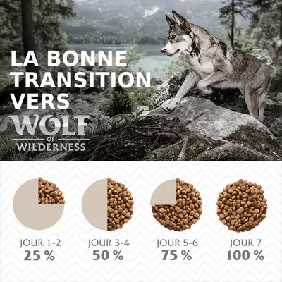 La bonne transition vers Wolf of Wilderness : jour 1–2 25 %, jour 3–4 50 %, jour 5–6 75 %, jour 7 100 % de croquettes. Texte et schéma visibles.