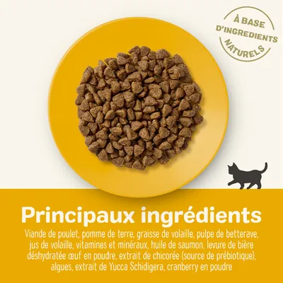 Principaux ingrédients : viande de poulet, pomme de terre, graisse de volaille, pulpe de betterave, vitamines et minéraux, huile de saumon, extrait de chicorée, cranberry en poudre.