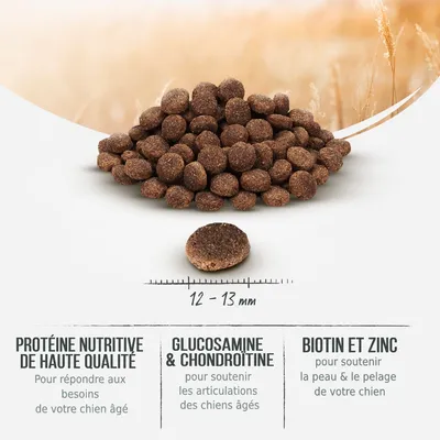 Croquettes pour chien âgé, diamètre 12–13 mm. Texte visible : protéine nutritive de haute qualité, glucosamine & chondroïtine, biotine et zinc, avec leurs bénéfices indiqués.