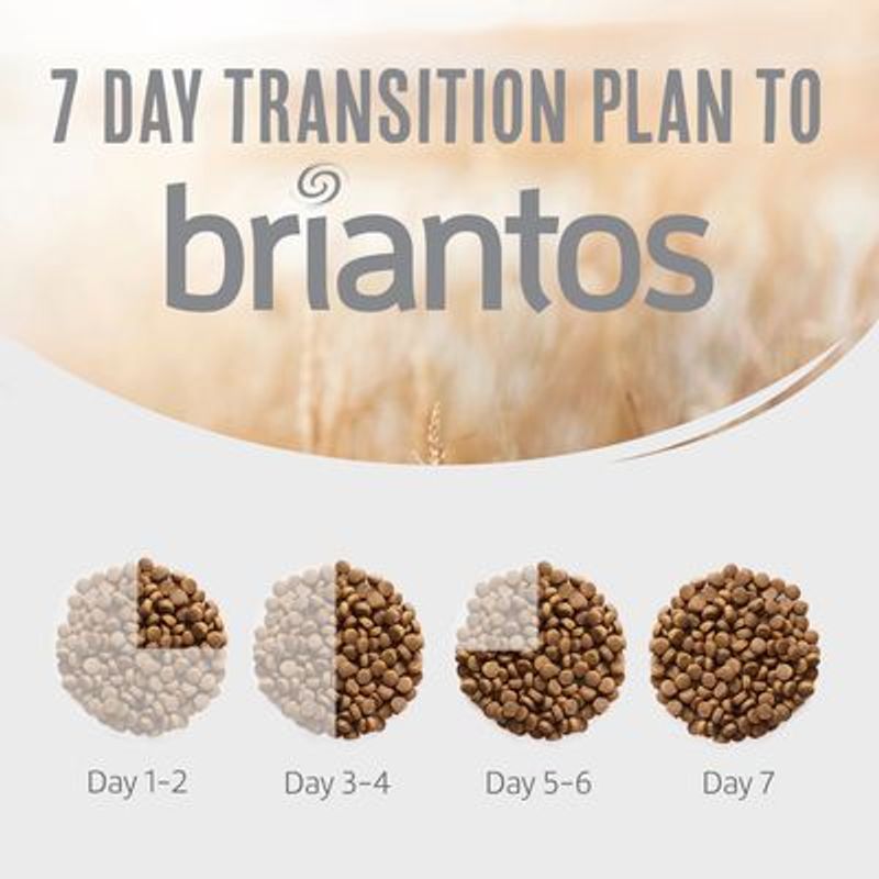 Briantos Adult Light/Sterilised Kalkoen & Aardappel - Graanvrij Hondenvoer