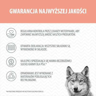 Wolf of Wilderness Adult „Great Desert”, indyk