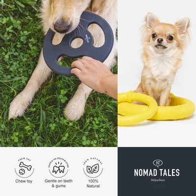 Kutyajáték: fekete és sárga rágógyűrű kutyákkal bemutatva. Ikonok: Chew toy, Gentle on teeth & gums, 100% Natural. Márka: NOMAD TALES München.