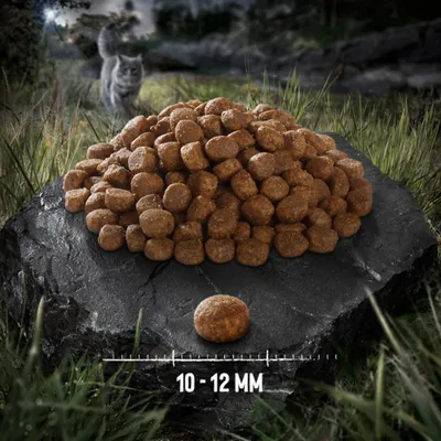 Wild Freedom Adult "Deep Forest" mit Hirsch - getreidefreie Rezeptur