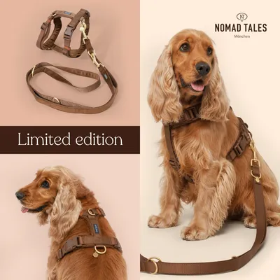 Nomad Tales Hundeleine Blush Limited Edition, mocha - 200 cm lang Nomad Tales Hundeleine Blush Limited Edition, mocha - 200 cm lang