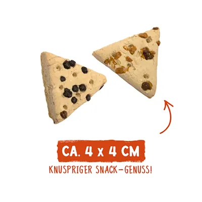 Zwei dreieckige Snacks mit dunklen und hellen Stückchen, Text: ca. 4 x 4 cm, knuspriger Snack-Genuss.