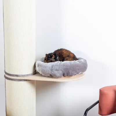 Gato tumbado en una cama redonda gris de felpa sobre una repisa de madera unida a un poste rascador vertical de sisal claro.