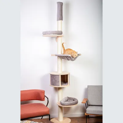 Cat tree with multiple levels, sisal post, padded resting areas and cave. Orange cat lying on a hammock. Furniture in the background.