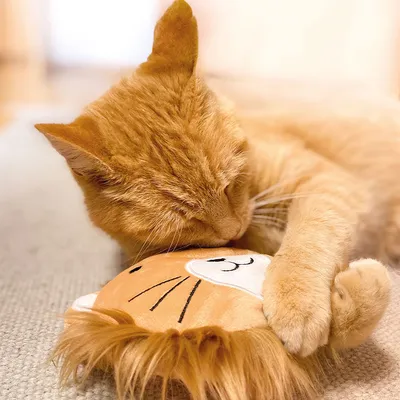 Rode kat knuffelt met een oranje pluchen speelgoed in de vorm van een leeuw op een tapijt.