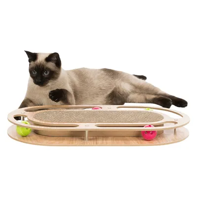 Giocattolo per gatti in legno con superficie tiragraffi e palline colorate nelle piste. Gatto siamese sdraiato accanto.