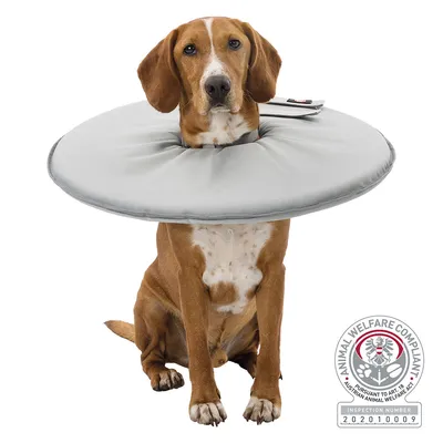 Cane con collare protettivo gonfiabile grigio, materiale tessuto. In basso a destra certificazione Animal Welfare Compliant, numero ispezione 202010009.