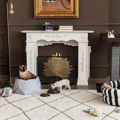 Nappali macskákkal. Egy macska szürke filckosárban ül, egy másik etetőtálból eszik. Háttérben kaparófa és dekoratív kandalló.