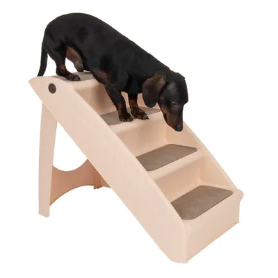 Hund auf einer beige Kunststofftreppe mit drei Stufen und Teppichauflagen, geeignet für den Zugang zu höheren Flächen.