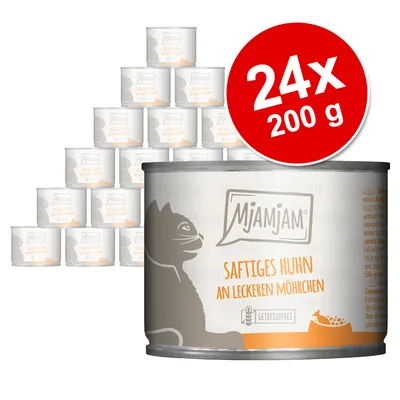 Pachet economic MjAMjAM 24 x 200 g