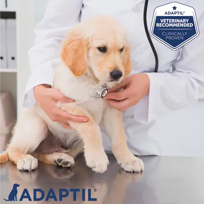 ADAPTIL, dierenarts met puppy op onderzoekstafel. Badge: ADAPTIL VETERINARY RECOMMENDED CLINICALLY PROVEN.