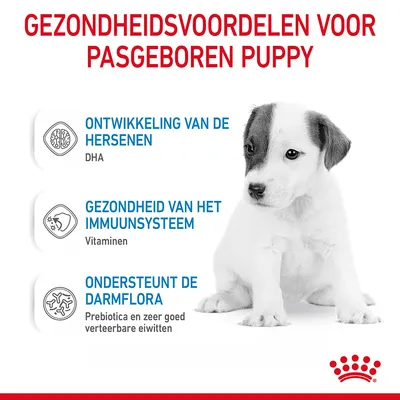 Gezondheidsvoordelen voor pasgeboren puppy: ontwikkeling van de hersenen (DHA), gezondheid van het immuunsysteem (vitaminen), ondersteunt de darmflora (prebiotica, zeer goed verteerbare eiwitten).