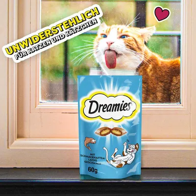 Dreamies mit schmackhaftem Lachs-Geschmack, 60g. Unwiderstehlich für Katzen und Kätzchen.