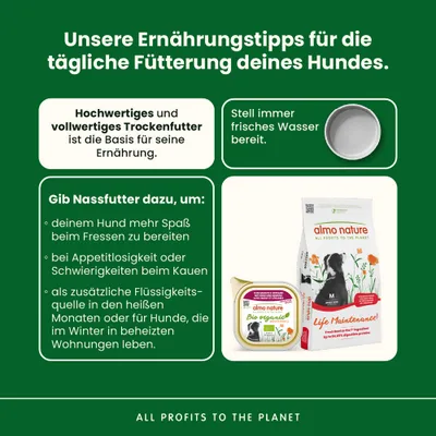 Lot Almo Nature BioOrganic 12 x 100 g pour chien - bœuf bio & légumes bio Lot Almo Nature BioOrganic 12 x 100 g pour chien - bœuf bio & légumes bio