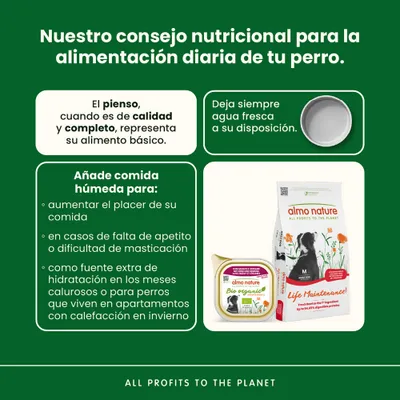 Almo Nature BioOrganic Maintenance 6 x 100 g - Vacuno y verduras Almo Nature BioOrganic Maintenance 6 x 100 g - Vacuno y verduras