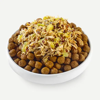 Schüssel mit braunen Trockenfutter-Kroketten, garniert mit frischen Zutaten wie Hühnerstreifen, Sellerie und Quinoa.
