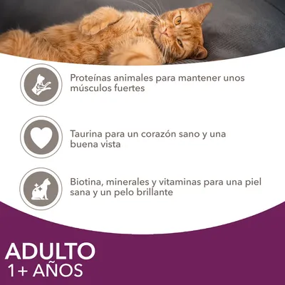 ADULTO 1+ AÑOS. Proteínas animales para músculos fuertes, taurina para corazón sano y buena vista, biotina, minerales y vitaminas para piel sana y pelo brillante.