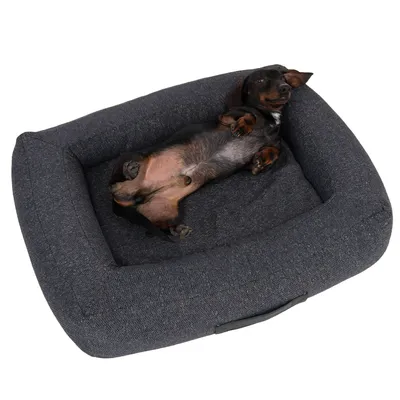 Dog lying relaxed in a dark grey dog bed with padded sides and handle at the front.
