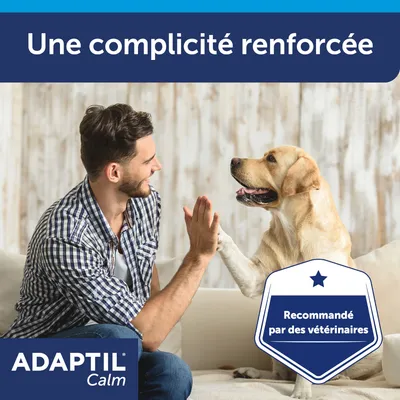 Une complicité renforcée. ADAPTIL Calm. Recommandé par des vétérinaires.