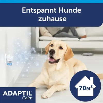 Texte en allemand : « Entspannt Hunde zuhause ». ADAPTIL Calm diffuseur, maison 70 m² indiqué. Texte et marque visibles sur l’image. Texte non traduit.