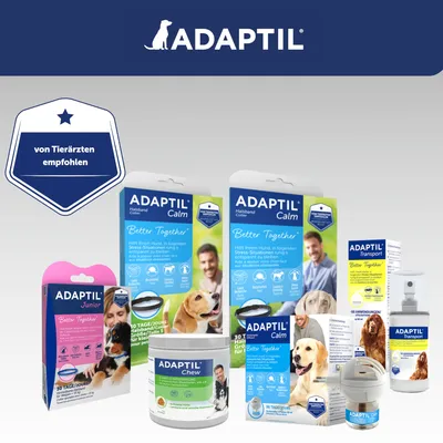 Gamme de produits ADAPTIL pour chiens : Calm, Junior, Chew, Transport. Texte visible : « von Tierärzten empfohlen », « Better Together ». Marques et emballages visibles.