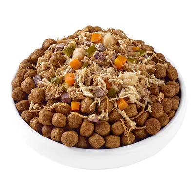 Bol blanc rempli de croquettes brunes pour chien, garnies de morceaux visibles de légumes orange, verts et blancs ainsi que d’émincés de viande claire.