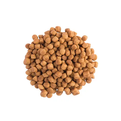 Ruskeita, pyöreitä kuivaruokanappuloita kasassa valkoisella taustalla. Tuotemerkki ja pakkaus eivät näy.