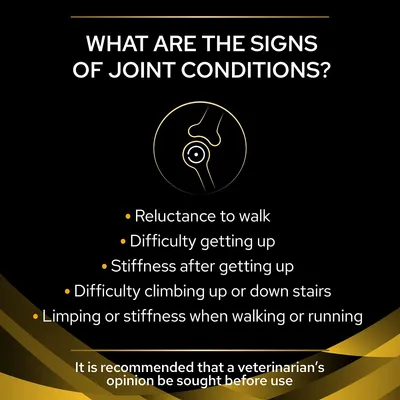 Signs of joint conditions: reluctance to walk, difficulty getting up, stiffness after getting up, trouble with stairs, limping or stiffness when walking or running. Vet advice recommended.