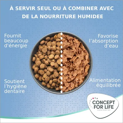 Concept for Life Large Junior