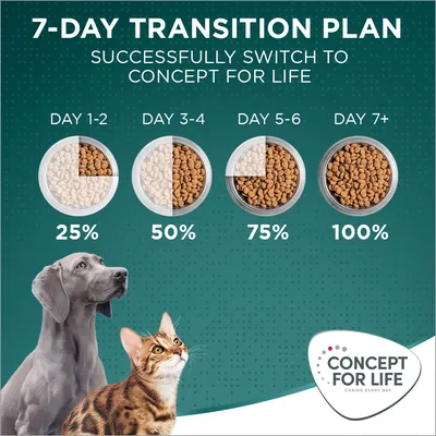 Piano di transizione 7 giorni Concept for Life: giorno 1–2 25%, giorno 3–4 50%, giorno 5–6 75%, giorno 7+ 100%. Immagine di cane, gatto e logo Concept for Life.
