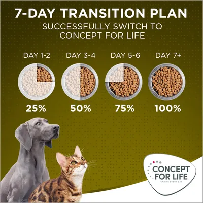 Piano di transizione 7 giorni: giorno 1–2 25%, giorno 3–4 50%, giorno 5–6 75%, dal giorno 7 100% Concept for Life. Immagine di cane, gatto e logo Concept for Life.