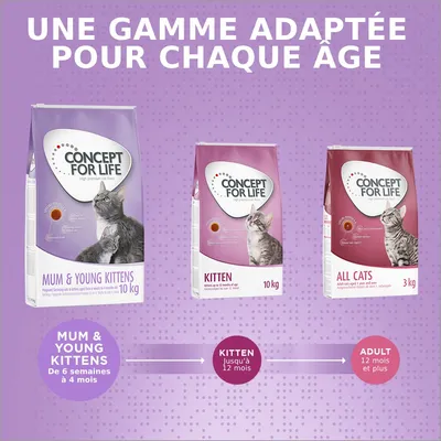 Trois sacs Concept for Life : Mum & Young Kittens 10 kg, Kitten 10 kg, All Cats 3 kg. Gamme adaptée pour chaque âge : de 6 semaines à adulte, informations visibles sur les emballages.