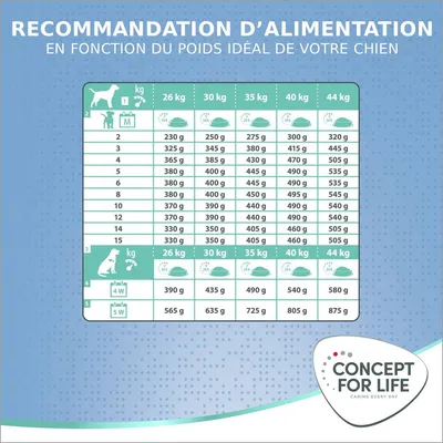 Concept for Life Large Junior pour chien