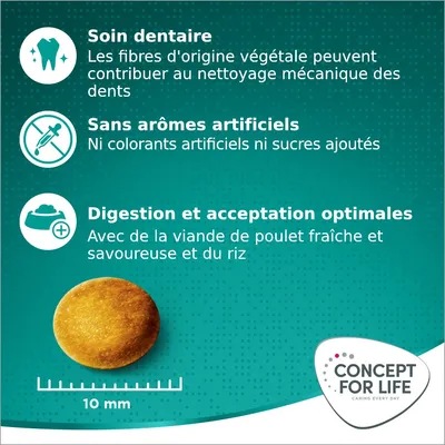 Concept for Life Large Adult