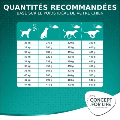 Concept for Life Large Adult