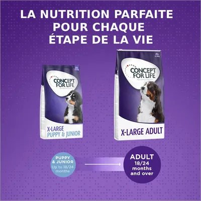Concept for Life X-Large Adult pour chien