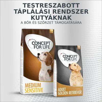 Concept for Life kutyatáp csomagolás: Medium Sensitive és Adult Golden Retriever változat, bőr és szőrzet támogatása felirattal.